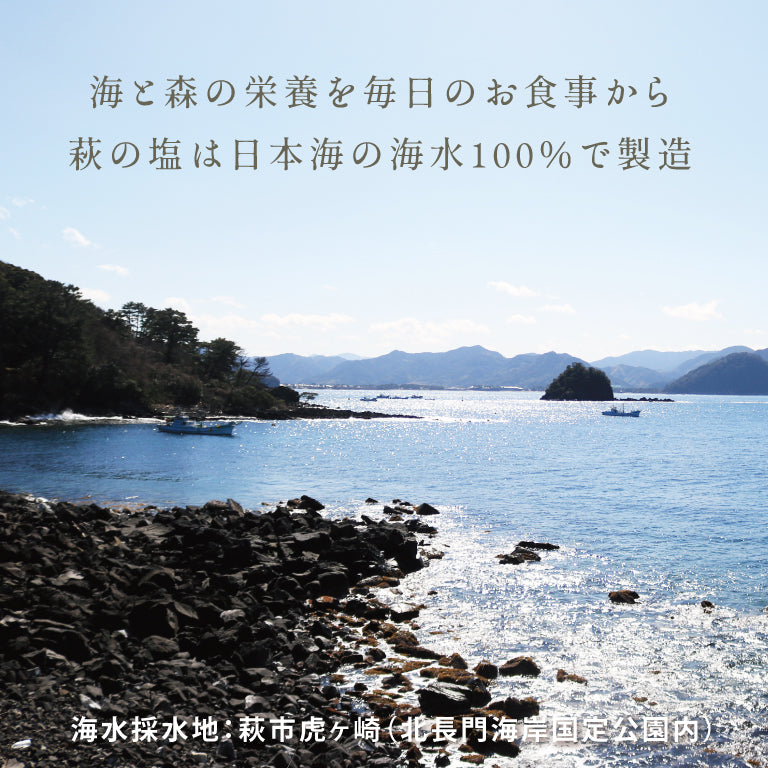 夏みかん塩(25g・24本)1ケース