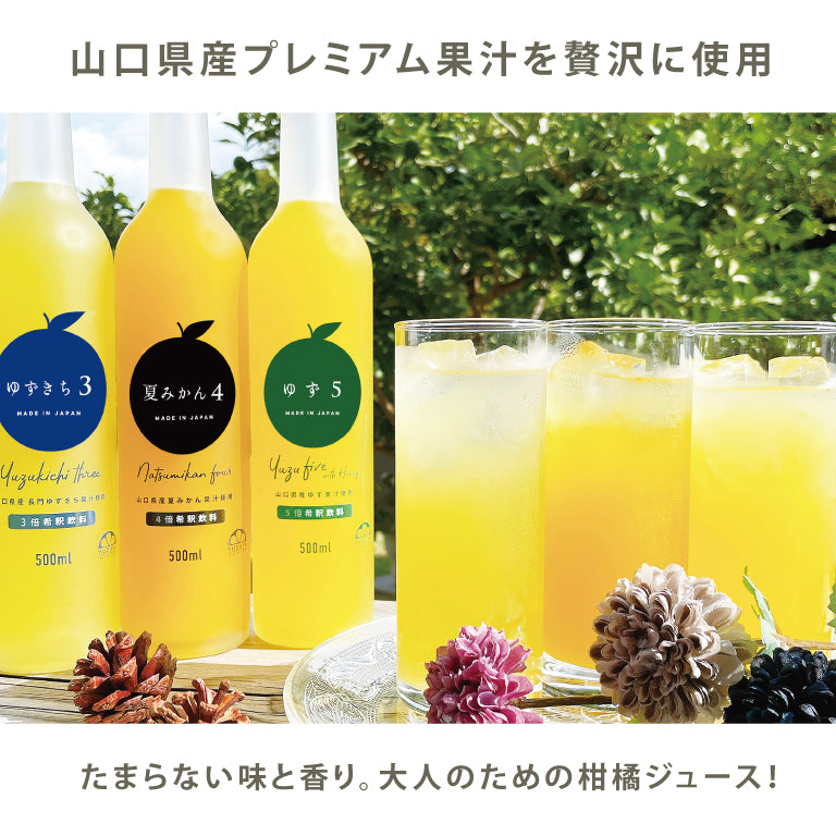 ゆず5（500ml・12本）１ケース